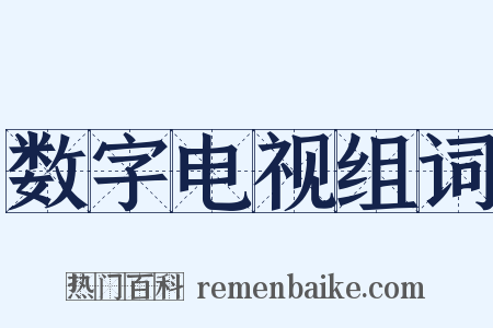 数字电视组词是什么意思的图片